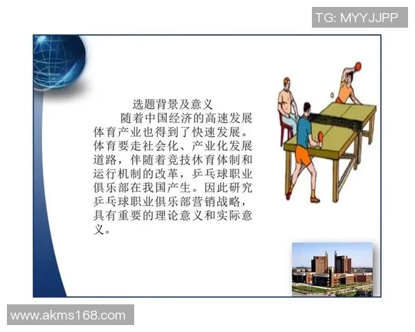 武汉乒乓球队员个人能力分析及表现评估研究报告